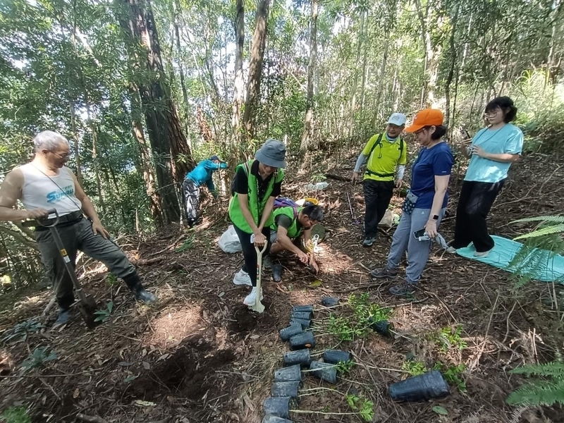 百名山友登台中東卯山 一人一樹苗維護步道安全