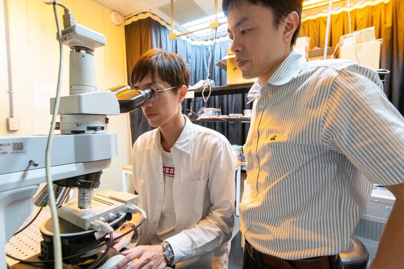 中山大學跨國研究綠色光電 提升光子晶體生長速度