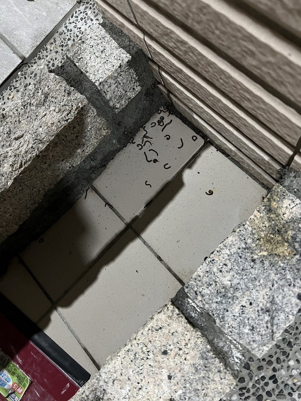 彰化芬園大埔村現大批馬陸 入侵民宅牆壁天花板