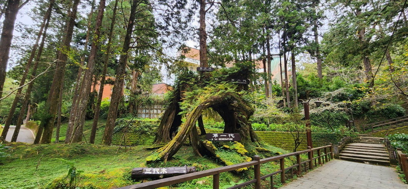 阿里山森林遊樂區、林鐵 11/17恢復開放及營運