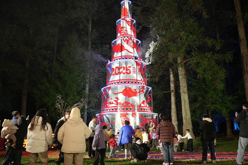 惠蓀林場耶誕點燈 希望之樹閃耀至2025年3月