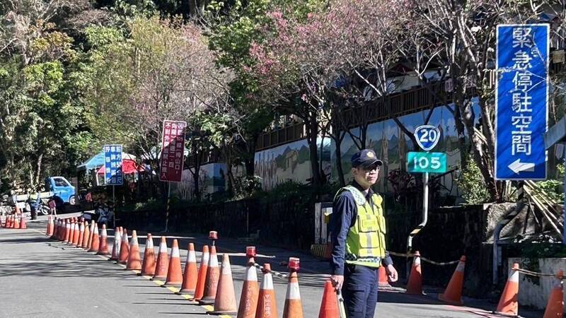 高雄桃源7品種櫻花盛開 警交管措施疏導