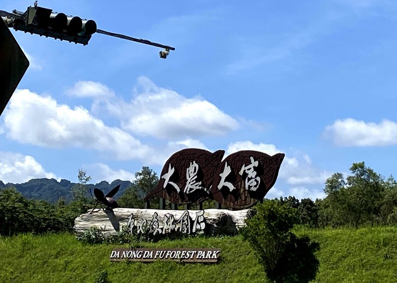 昔日蔗田繁華「大和」 變身大農大富平地森林