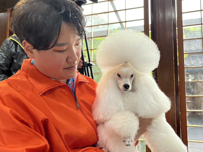 寵物美容定型化契約可望上路 退費、送醫要約定