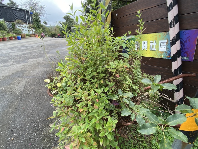 新北滬尾休閒農業區保留人文遺址 推永續共好