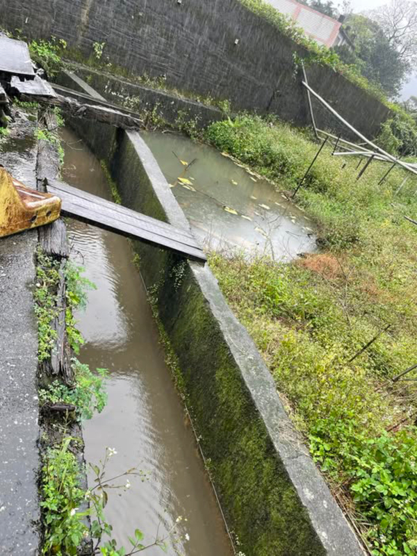 弟倒臥新北金山水溝身亡 兄指脖有勒痕懷疑他殺