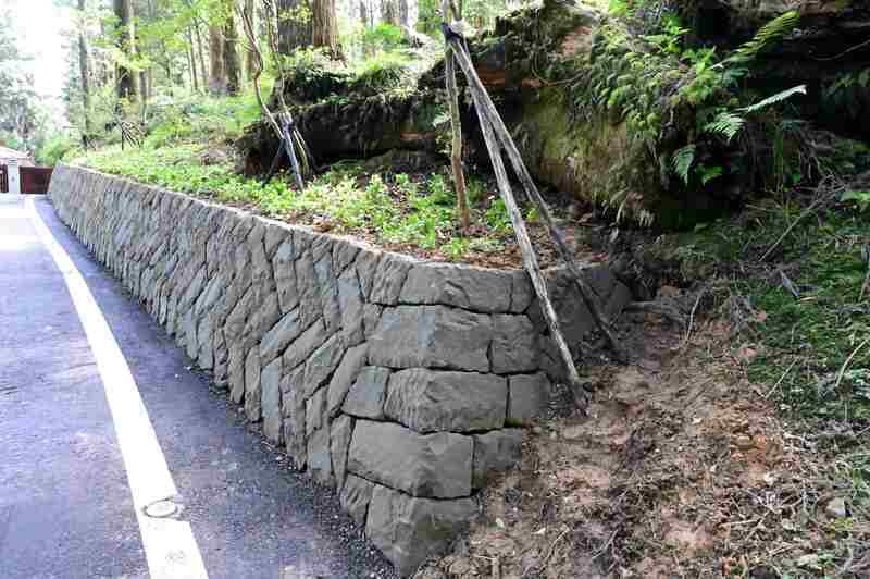 阿里山祝山林道修繕 利用二萬坪崩落塊石砌邊坡