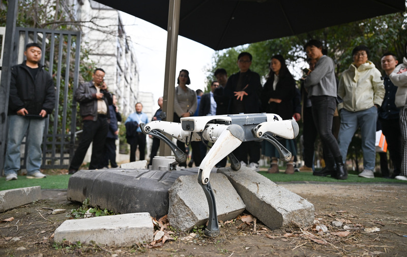 杭州科創受吹捧 官員：包容企業十年不鳴待一鳴驚人