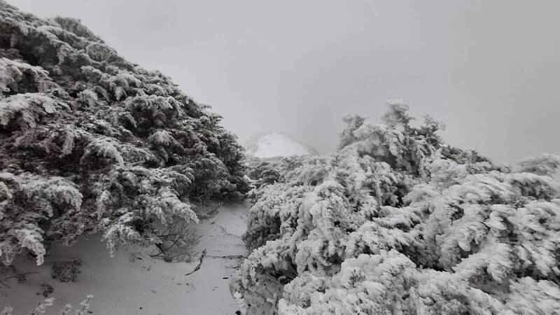 玉山飄雪 清晨零下2.6度