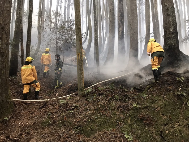 森林火災高風險期 農業部提醒掃墓「一不二要」