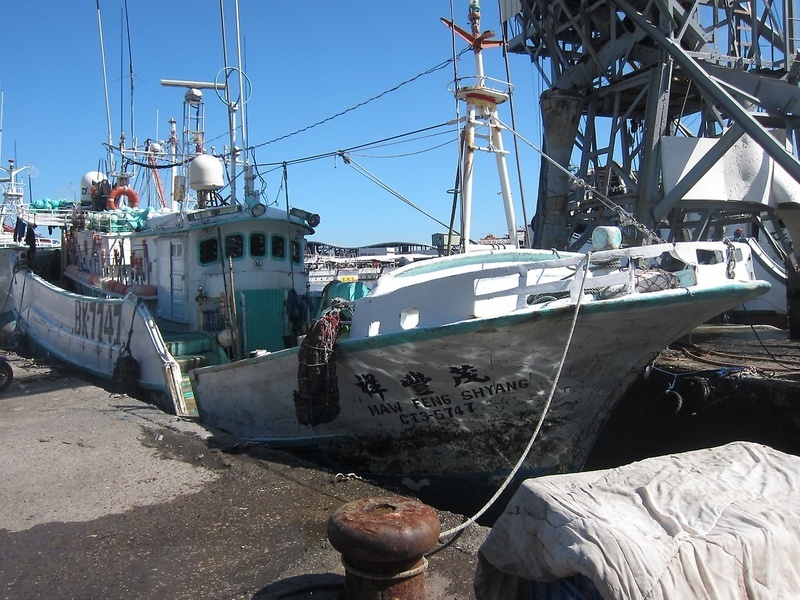 東港籍漁船通報捕獲屏東第1鮪 4/7驗明正身