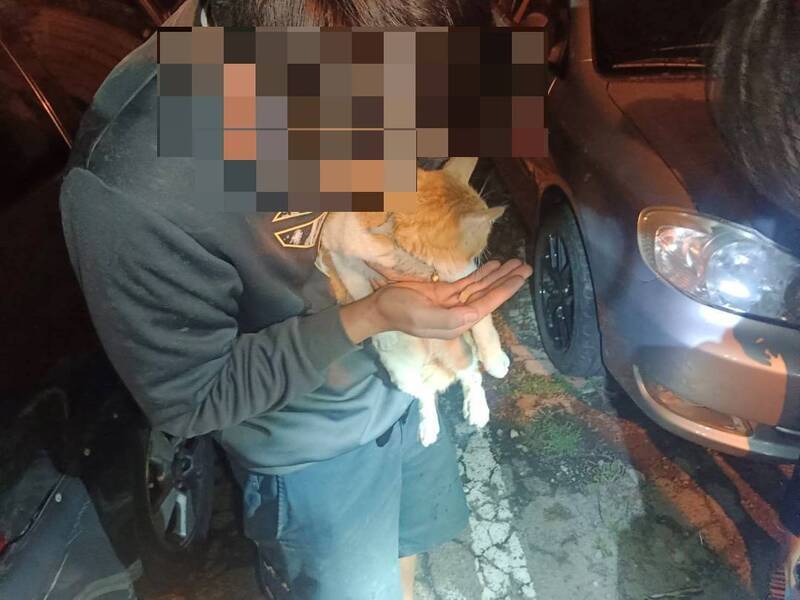 貓咪失蹤藏身轎車引擎蓋 彰警尋獲送還失主