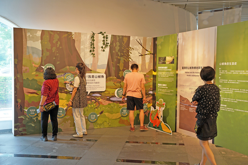 國資圖展出台灣山椒魚特展 一窺高山生態秘境