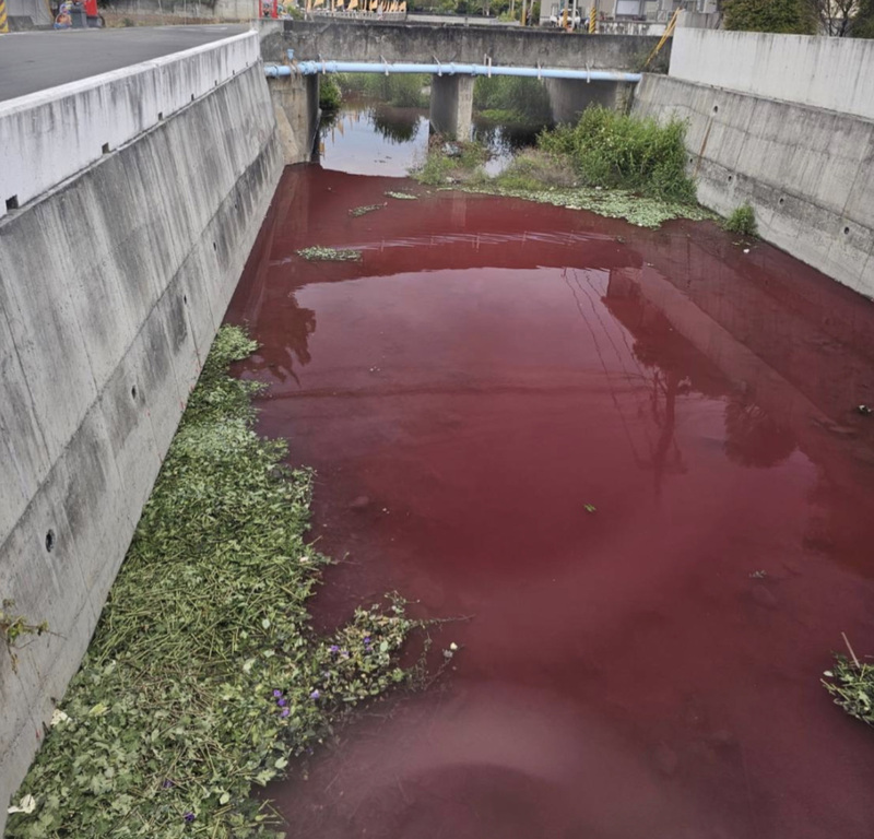 染花業者排廢水 彰化崙仔尾大排成紅色河流