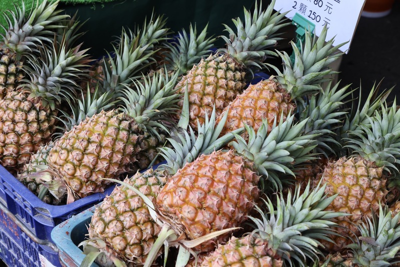 台南鳳梨好筍季熱鬧登場 體驗當地農產好時機