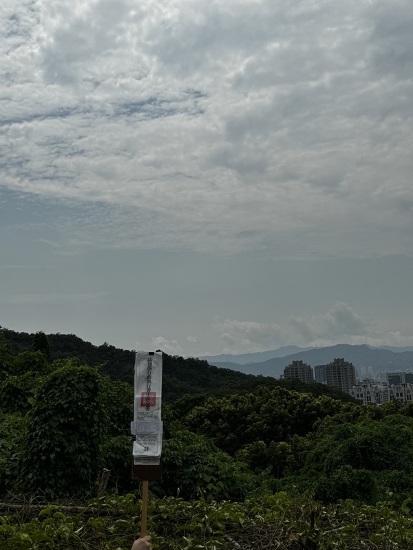 美麗華董事黃春照欠稅逾2億元 名下5筆土地5/6拍賣