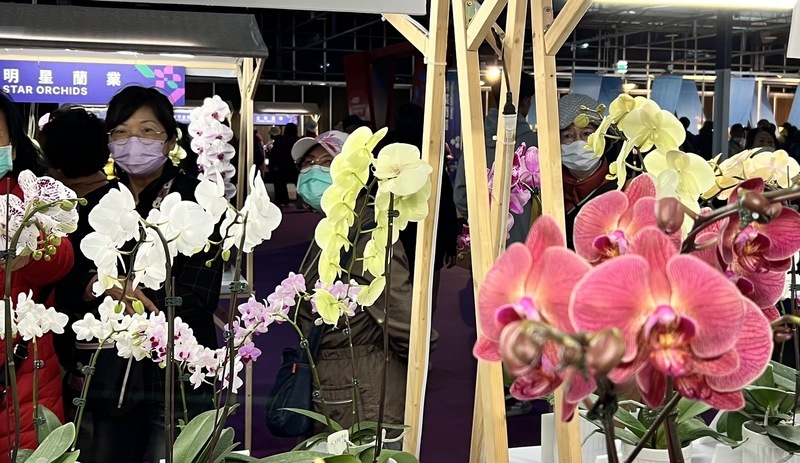 蘭花終成台灣農產外銷旗艦產業 關稅恐成挑戰