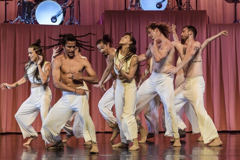 台中國家歌劇院推「舞動狂響」展現肢體節奏震撼