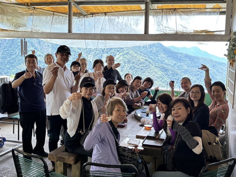 受台灣原生山茶吸引 日本茶文化考察團走訪六龜