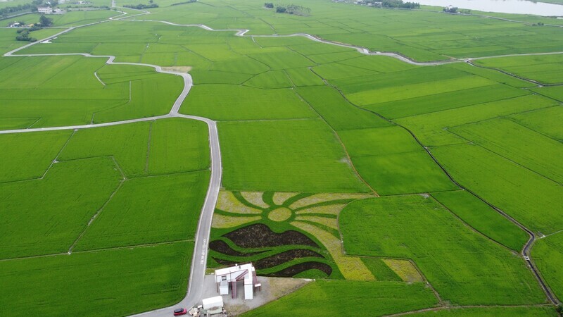宜蘭三奇美徑活動登場 彩繪稻田呈現龜山島意象