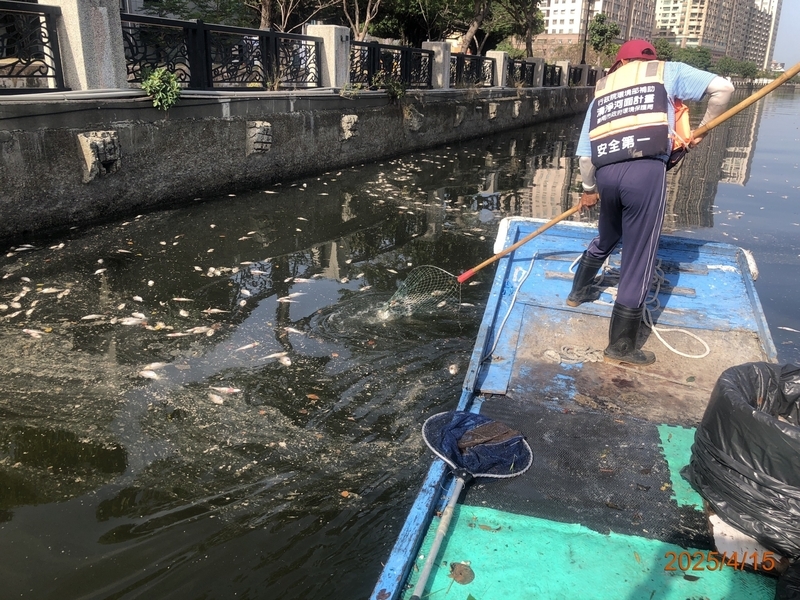 春夏溫差變化水中溶氧下降 台南運河已清10噸死魚