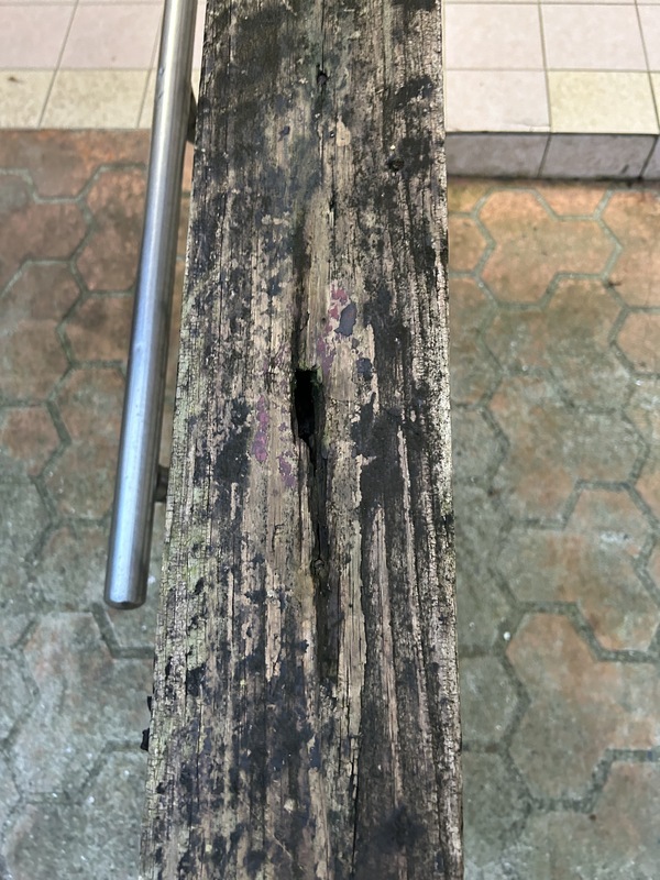 萬芳四號公園設施多處損壞 北市：盡快改善