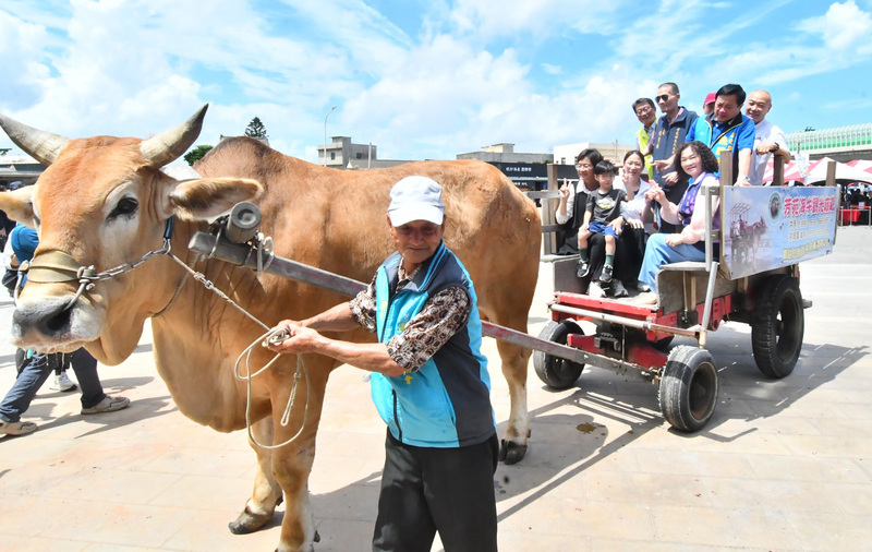 彰化辦海牛文化節 永續無形資產、力推在地美景