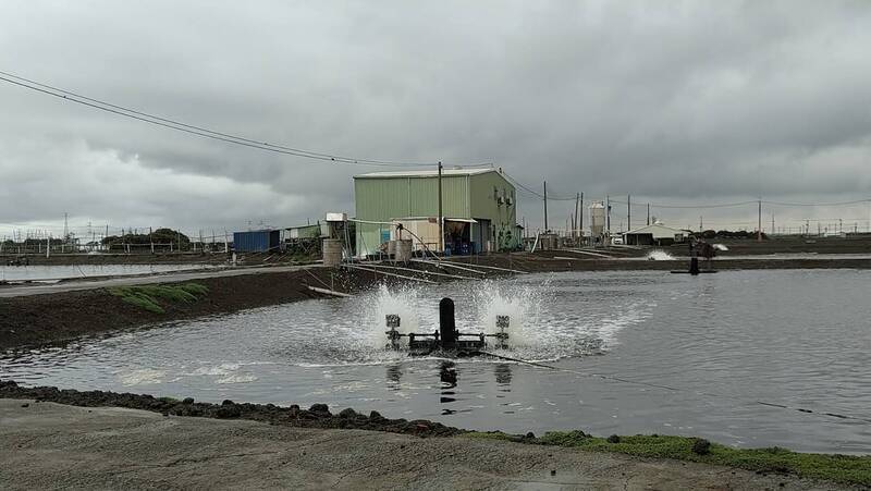 汛期來臨 高市動保處籲水產養殖戶做好防範