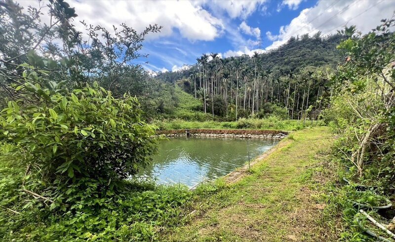 嘉義童隨爺爺訪友跌落魚池不治 檢警相驗為溺斃