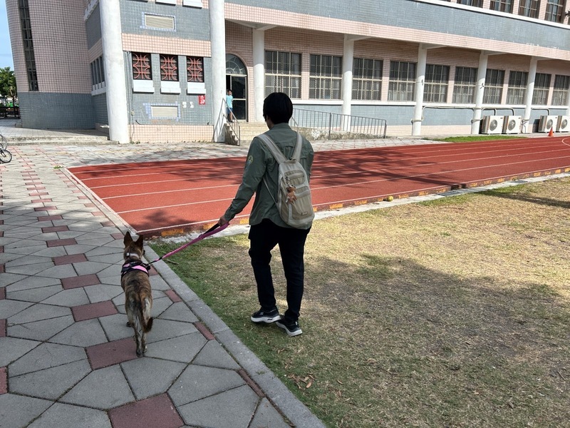 屏東動保自治條例上路 遛狗不繫繩最高罰1.5萬