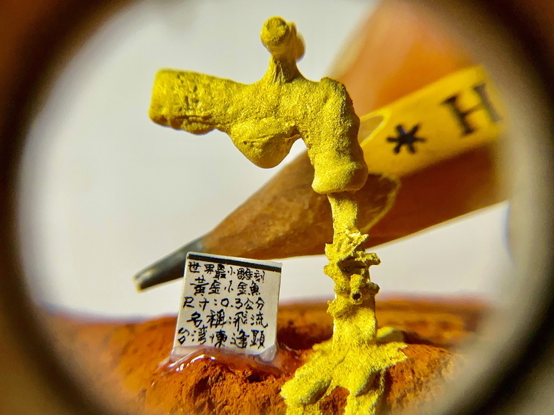 陳逢顯毫芒雕刻0.3cm黃金小金魚 融哲學令人驚豔