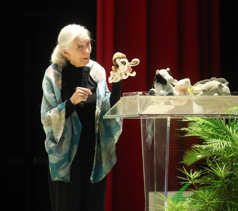 珍古德籲與大自然建立關係 保育環境對人有助益