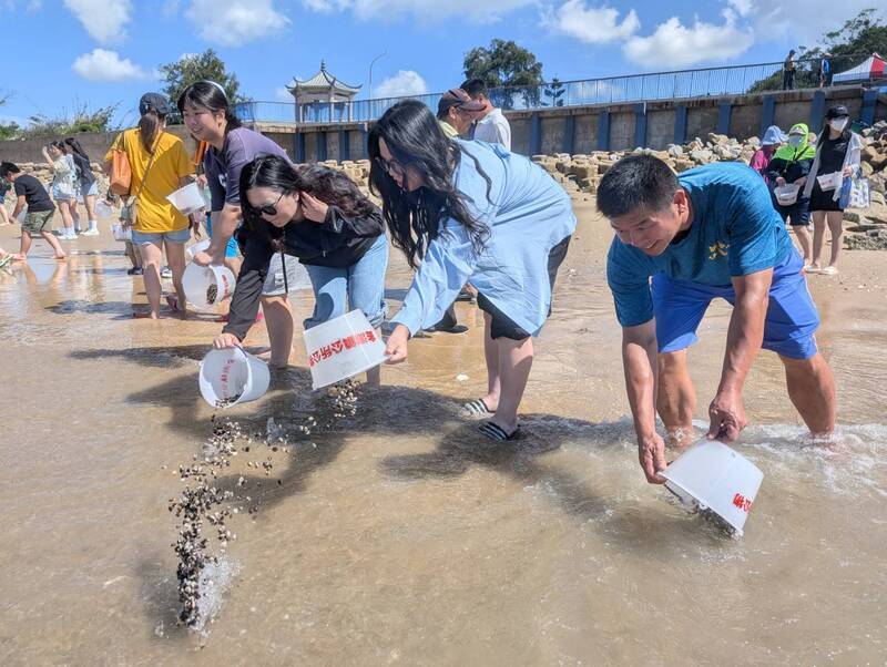 金門金湖花蛤季 放流40萬蛤苗盼海域生物永續
