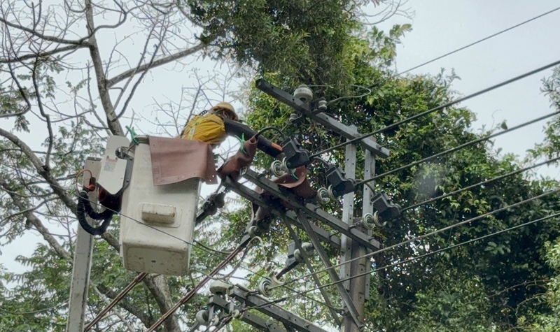 颱風丹娜絲過境 苗栗2萬餘戶停電全數修復