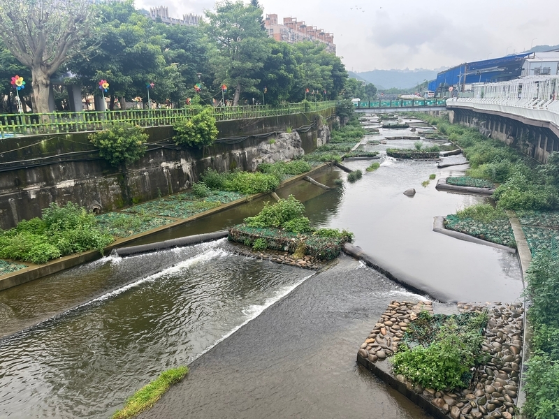 新北泰山大窠坑溪2期完工 友善生態打造親水綠廊