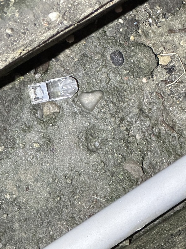 高雄男駕駛逆向肇事 警查出水溝丟喪屍煙彈送辦