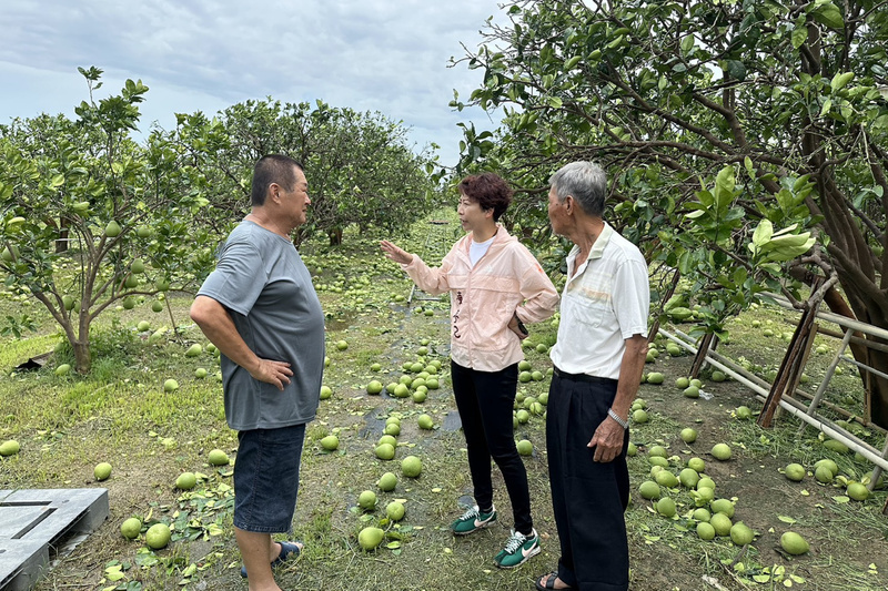 颱風重創台南農漁業 陳亭妃籲天災貸款首年免息