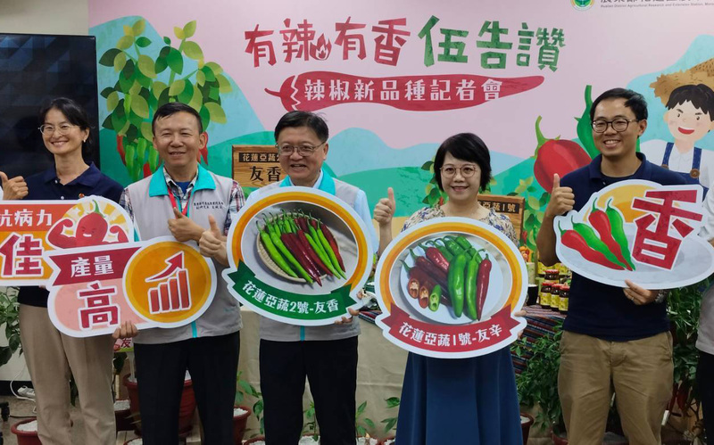 夏季剝皮辣椒太辣 友辛、友香中微辣新品更順口