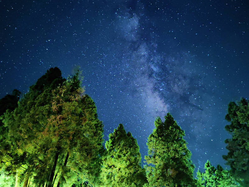 春櫻夏星秋楓冬雲　全國最高學府國小徵選代理教師