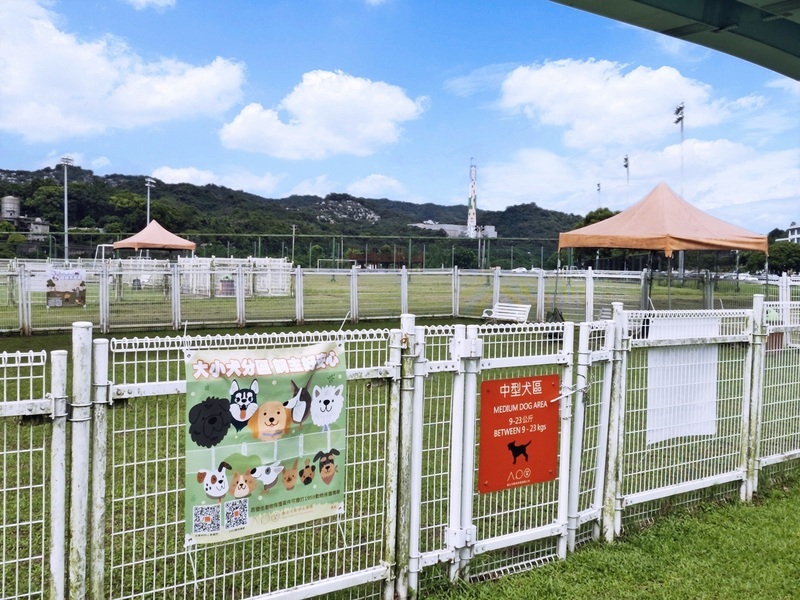 北市萬興狗活動區增設中型犬區 減少毛孩緊張感