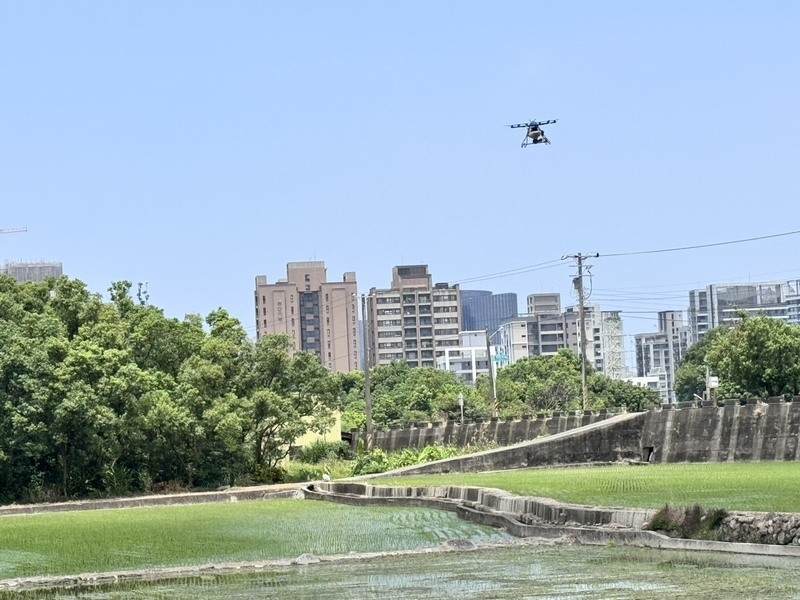 竹北啟動科技防治紅火蟻 無人機撒布餌劑提升效率