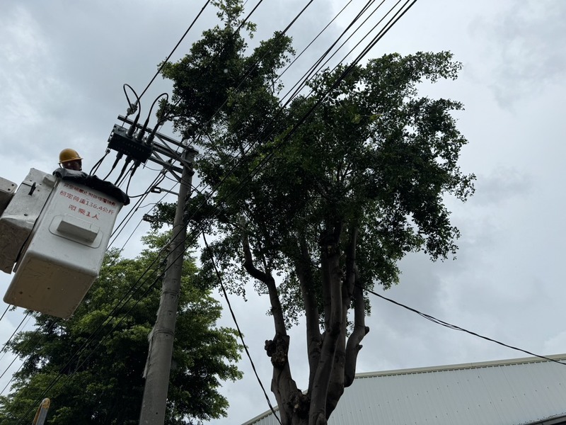 高雄樹木修剪致停電4738戶 因颱風山區撤2202人