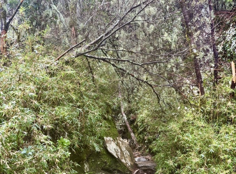 颱風楊柳重創後整修 嘉明湖17日開放