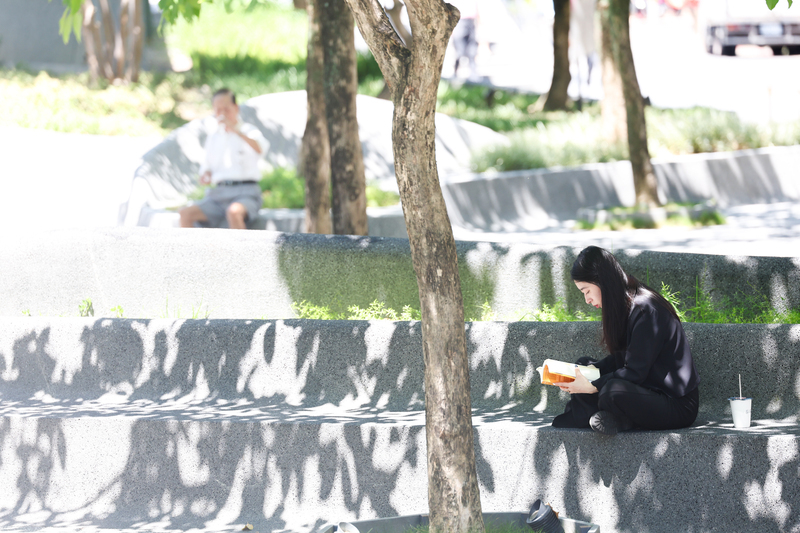 高溫上看38度　吳德榮：熱帶擾動有機率成颱