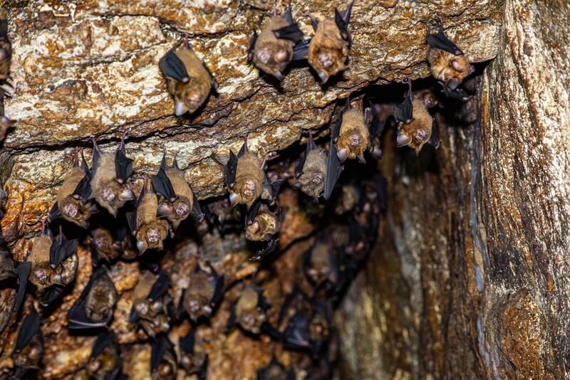 花蓮月洞調整開放時段 新增自由行遊客電話預約