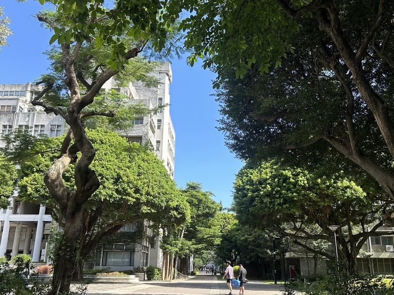 逢甲大學總體檢校內樹木　22棵開學前移除