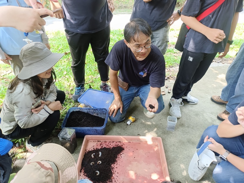 台中大坑生態園區 獨角仙、蝴蝶成功復育