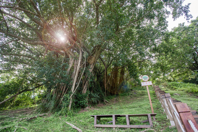 13處國家森林遊樂區票價優惠　國慶連假享5折