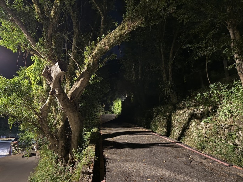 新北新店男子倒臥路邊　遭計程車司機輾過不治