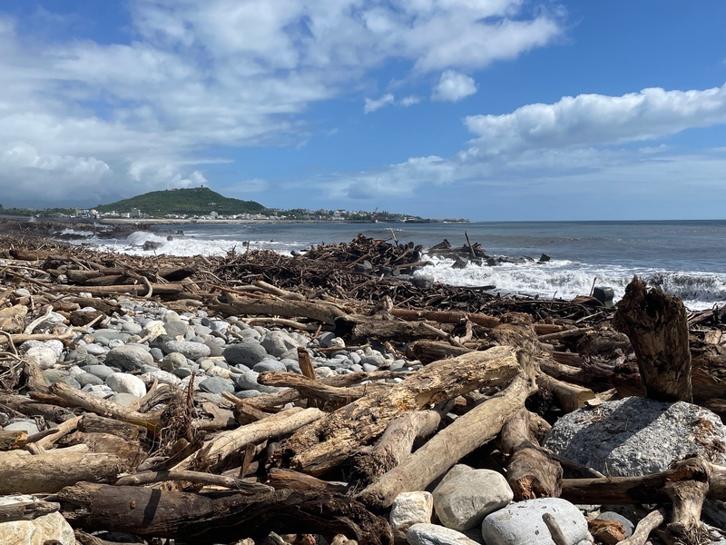 台東漂流木開放撿拾　不限尺寸可用鏈鋸